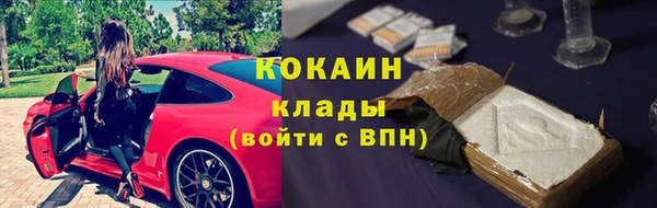 сатива Кукмор