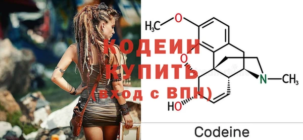 шишки Краснотурьинск