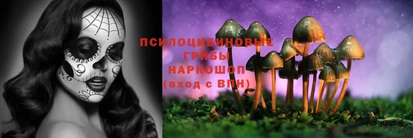 ПСИЛОЦИБИНОВЫЕ ГРИБЫ Краснослободск
