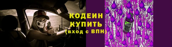 ПСИЛОЦИБИНОВЫЕ ГРИБЫ Краснослободск