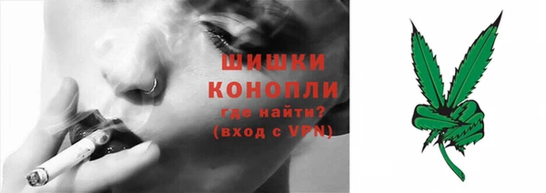 сатива Кукмор