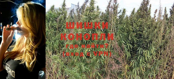 шишки Краснотурьинск