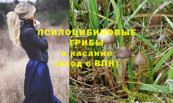 Альфа ПВП Яранск