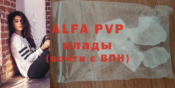шишки Краснотурьинск